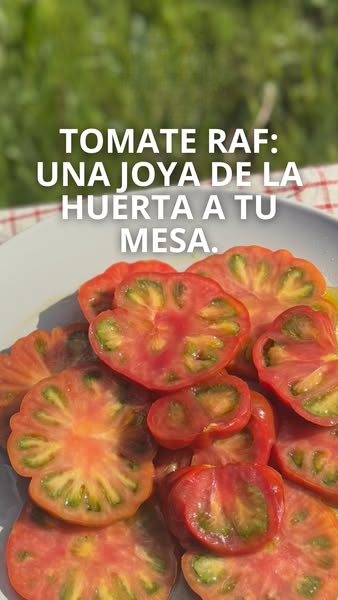 Tomate RAF Auténtico de Almería | Dulzor y Textura Premium