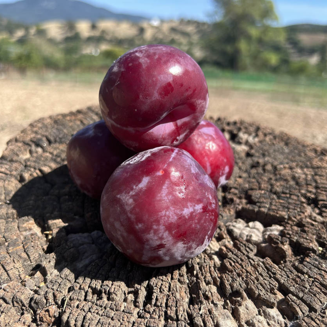 Cesta variada de 8 kg de la mejor fruta de temporada