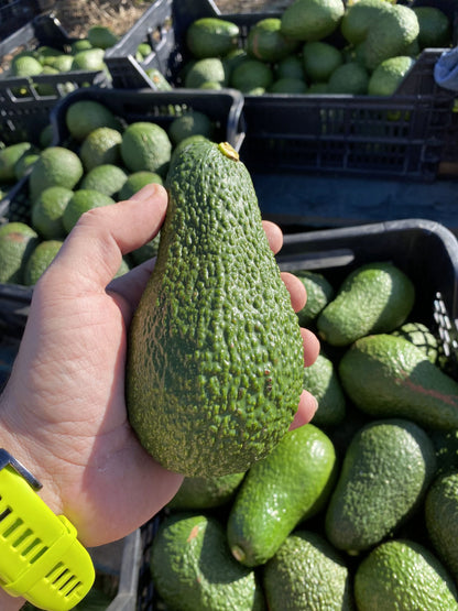 Caja de aguacates 4 kilos
