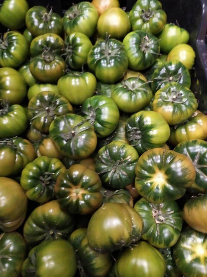 Compra el auténtico Tomate RAF "Pata Negra" de Almería. Textura crujiente, cuello verde intenso y el equilibrio perfecto entre dulce y salado. ¡Envío en 24h!