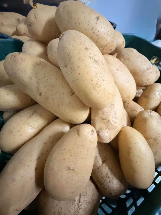 Patata "spunta" de Jauro (Antas) | Sabor Tradicional