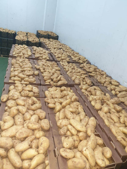 Patata "spunta" de Jauro (Antas) | Sabor Tradicional